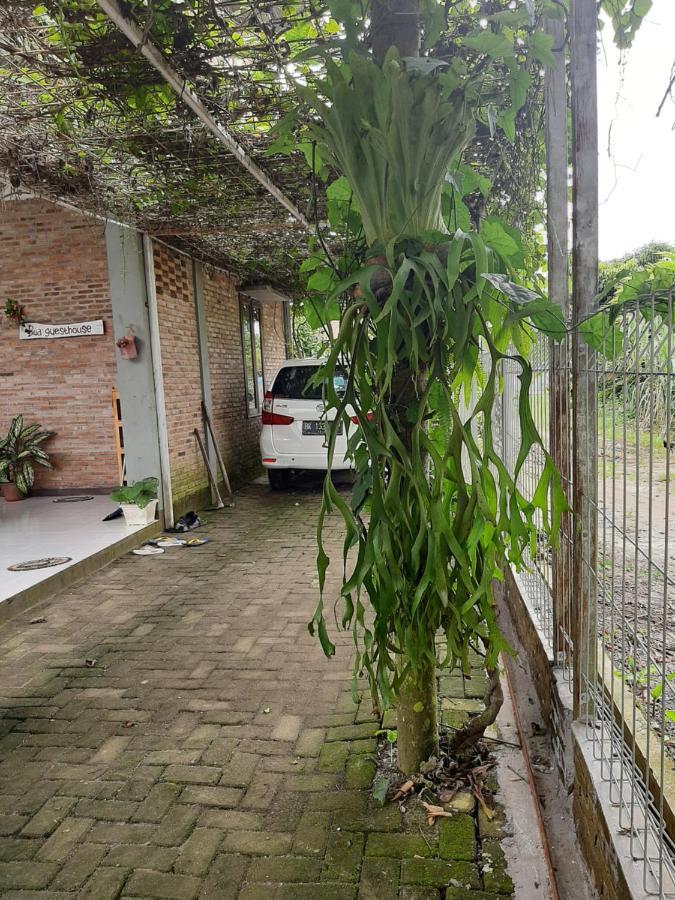 Bua Guest House Medan Exteriör bild
