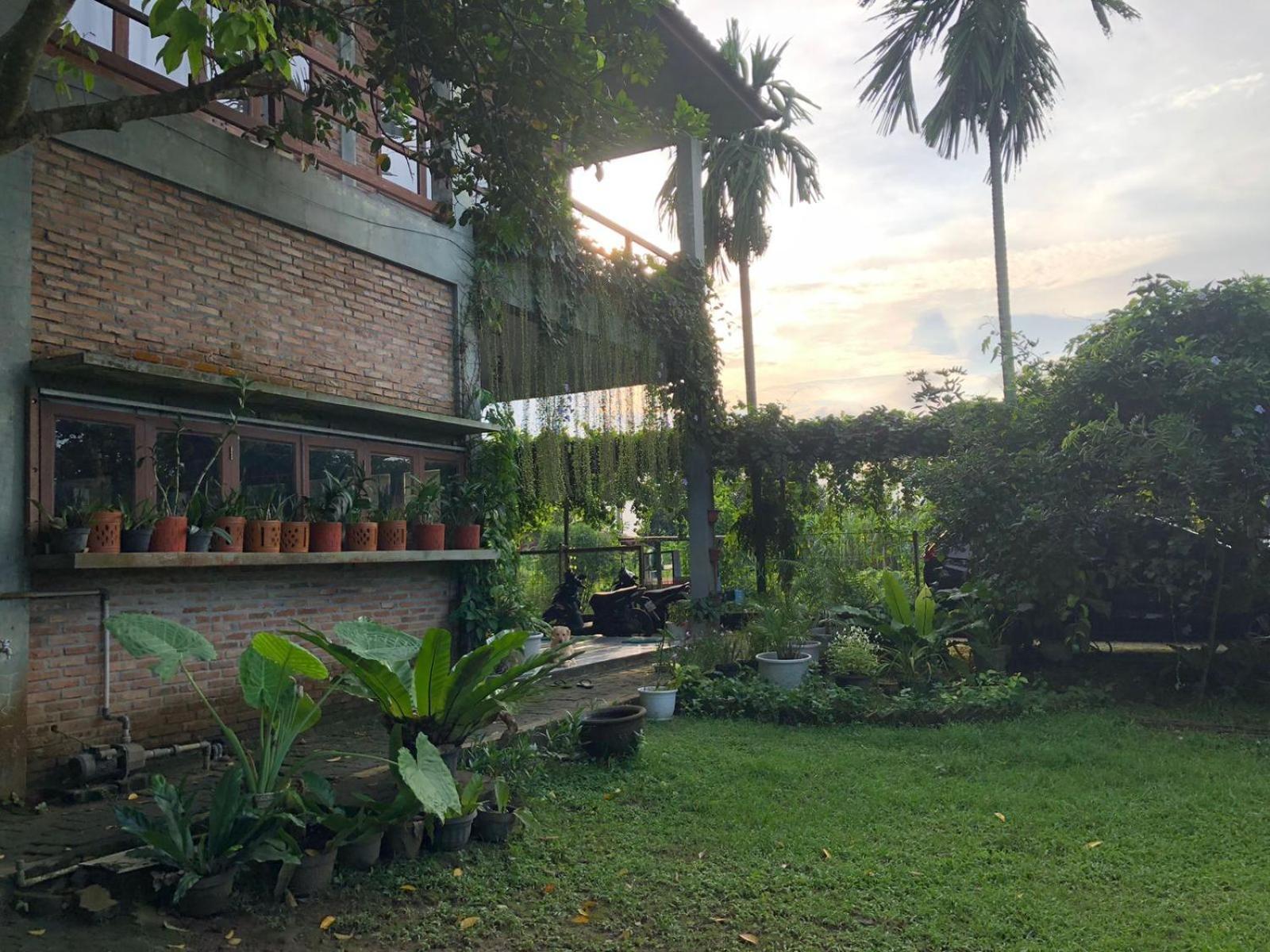Bua Guest House Medan Exteriör bild