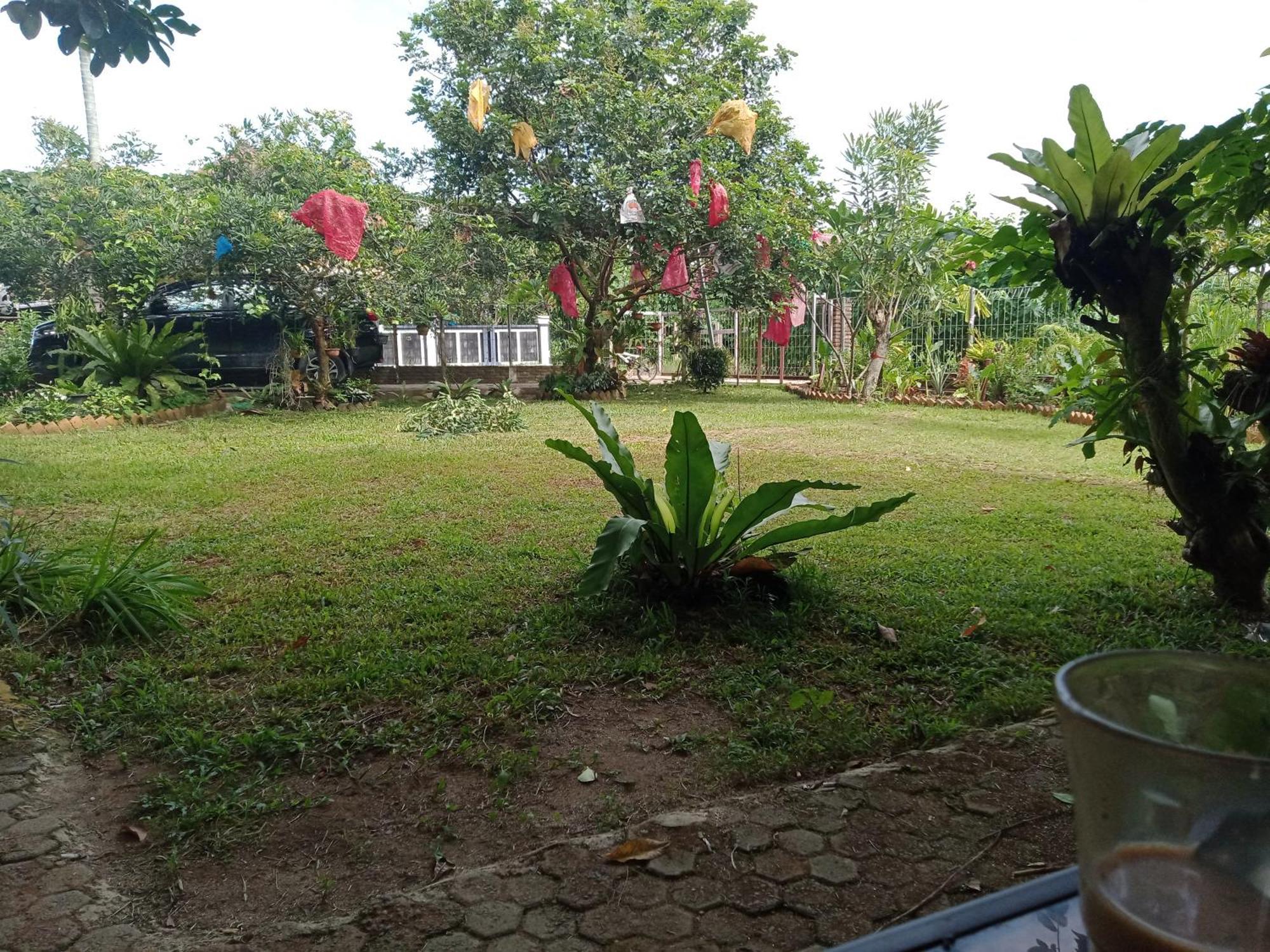 Bua Guest House Medan Exteriör bild